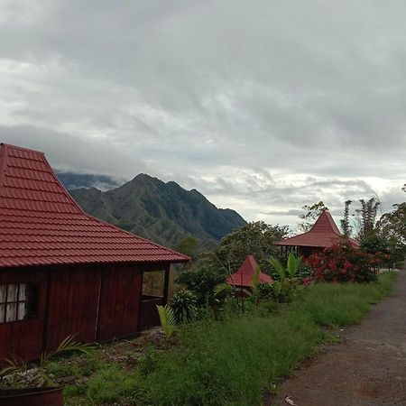Home Stay Wolokoro Ecotourism Bajawa Esterno foto