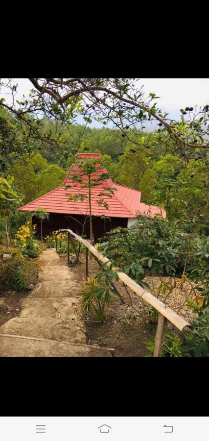 Home Stay Wolokoro Ecotourism Bajawa Esterno foto