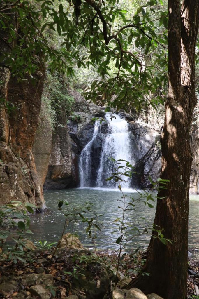 Home Stay Wolokoro Ecotourism Bajawa Esterno foto