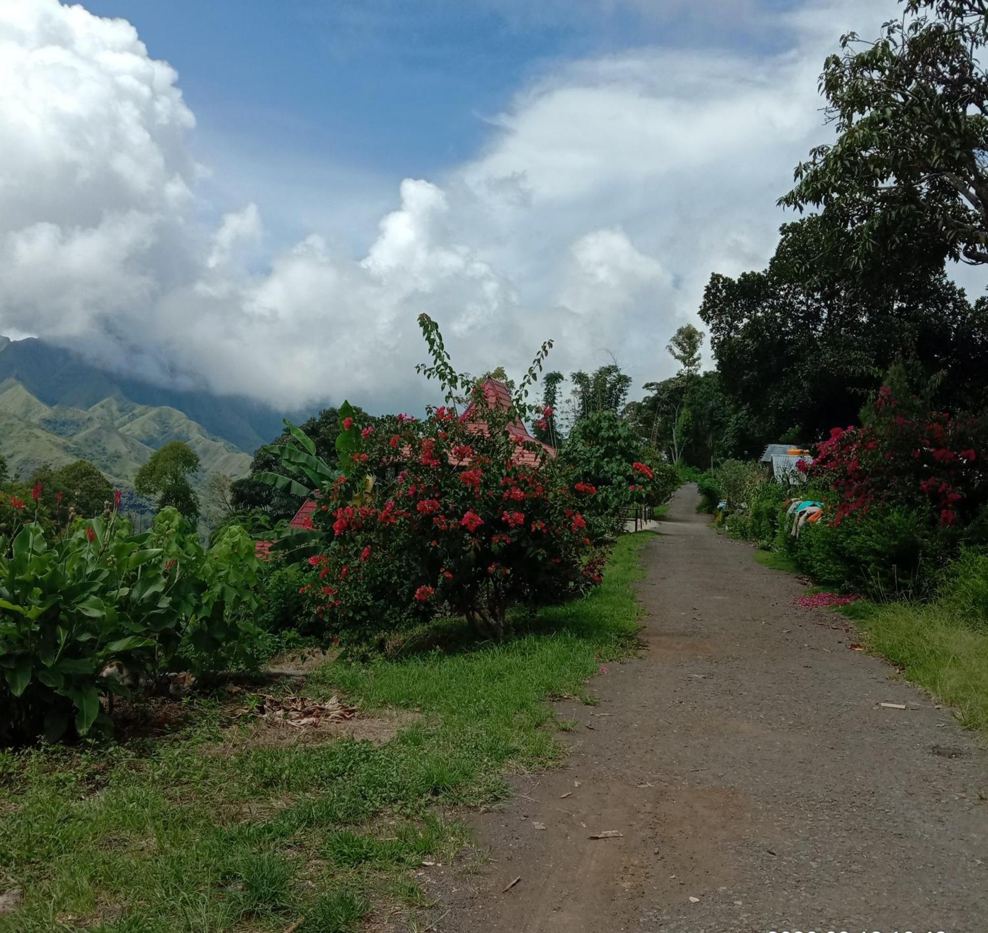 Home Stay Wolokoro Ecotourism Bajawa Camera foto